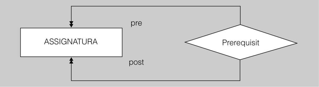 En el cas de les interrelacions recursives, pot tenir importància especificar els diferents papers o rols que interpreten les instàncies d una mateixa entitat, si aquests rols no coincideixen