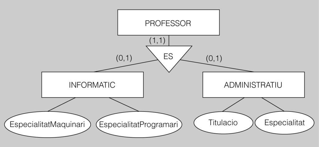 Bases de dades 45 Model Entitat-Relació sentar les característiques pròpies de les especialitzacions de l entitat superclasse.