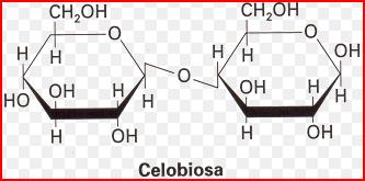 Celulosa -Hemicelulosa: es un polímero lineal polisacárido en donde la unidad que lo forma es muy variable,