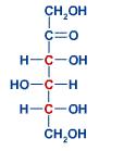 El grupo OH se encuentra en el resto de los carbonos, solo en el carbonilo no contiene dicho grupo.