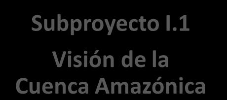 COMPONENTE I Entendiendo a la sociedad amazónica Subproyecto I.1 Visión de la Cuenca Amazónica Actividad I.1.1 Preparación y exploración Actividad I.1.2 Desarrollo del escenario Actividad I.1.3 Publicación y difusión de escenarios Actividad I.
