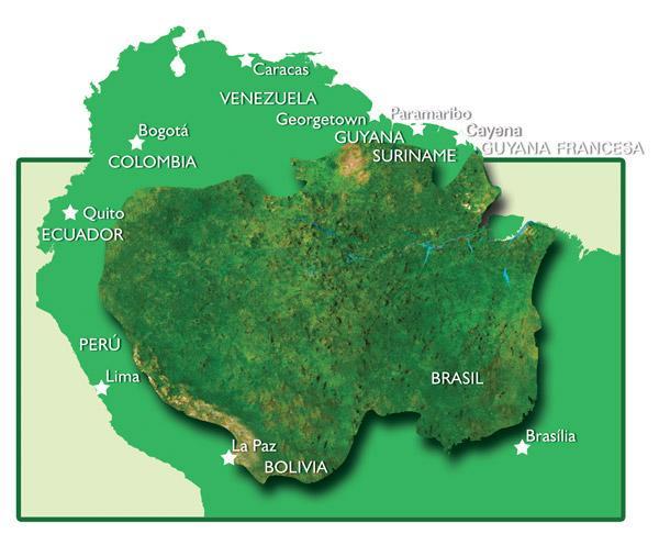 ORGANIZACION DEL TRATADO DE COOPERACION AMAZONICA (OTCA) 1978, se firmó el Tratado de Cooperación Amazónico (TCA).
