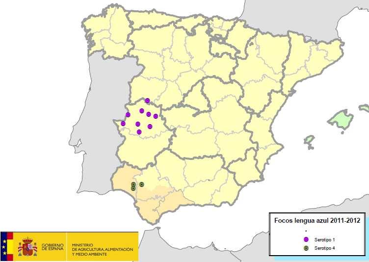 DURANTE EL INICIO DEL PERIODO 2012-2013 EN ESPAÑA En lo que llevamos de temporada de actividad del vector en 2012, se han notificado 2 focos del serotipo 1 en dos