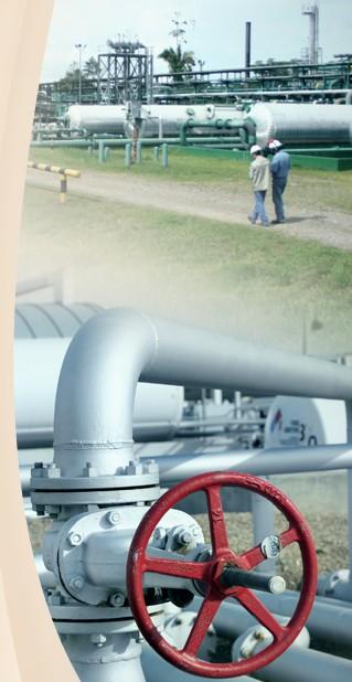SUSCRIPCIÓN DE CONVENIOS INTERNACIONALES DE TRANSPORTE DE PETRÓLEO Las empresas petroleras Colombianas (ECOPETROL y privadas) podrán utilizar la capacidad inutilizada en el Sistema de Oleoductos OCP