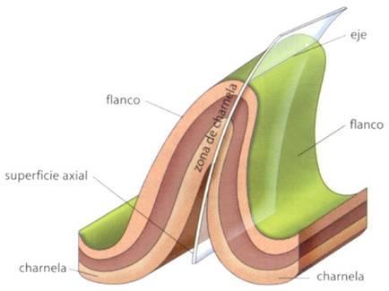 Elementos de los pliegues Eje Flanco Flanco Plano axial -Charnela: zona de máxima curvatura de un pliegue. -Flanco: zona comprendida entre dos charnelas.