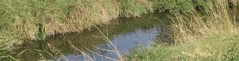 El estado general de los arroyos en invierno es bastante bueno, pero en verano sus aguas presentan en su superficie una especie de limo verdoso que se corresponde con una elevada concentración de