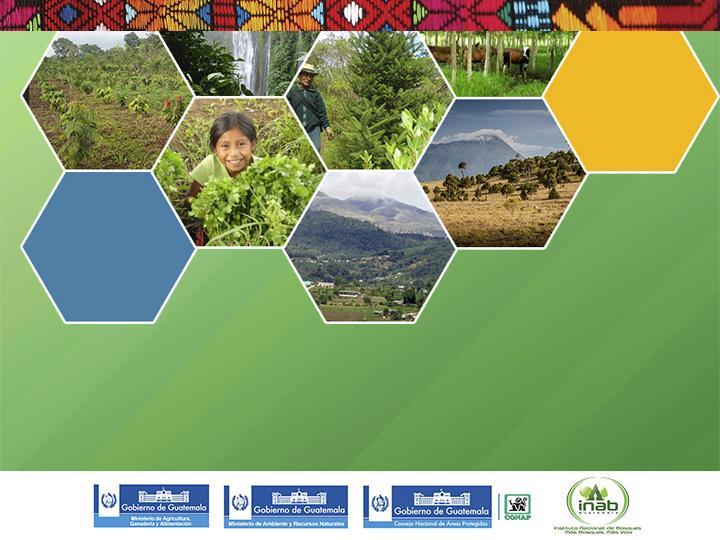 Estrategia Nacional de Restauración del Paisaje Forestal: Mecanismo para el desarrollo rural de Guatemala.
