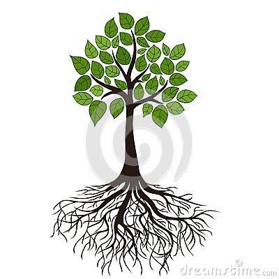Actividad: El árbol 1. Dibuja un árbol que te represente. 2. En las raíces escribe tus metas u objetivos personales cumplidos (pasado). 3.