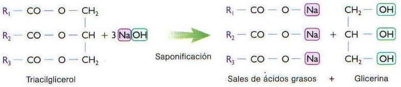 ESTERIFICACIÓN Y SAPONIFICACIÓN na esterificación es una reacción entre un ácido carboxílico y un alcohol en la que se obtiene un éster y agua.