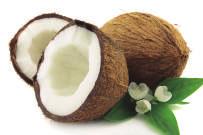 Aceite de coco El Aceite de Coco puede considerarse un superalimento.