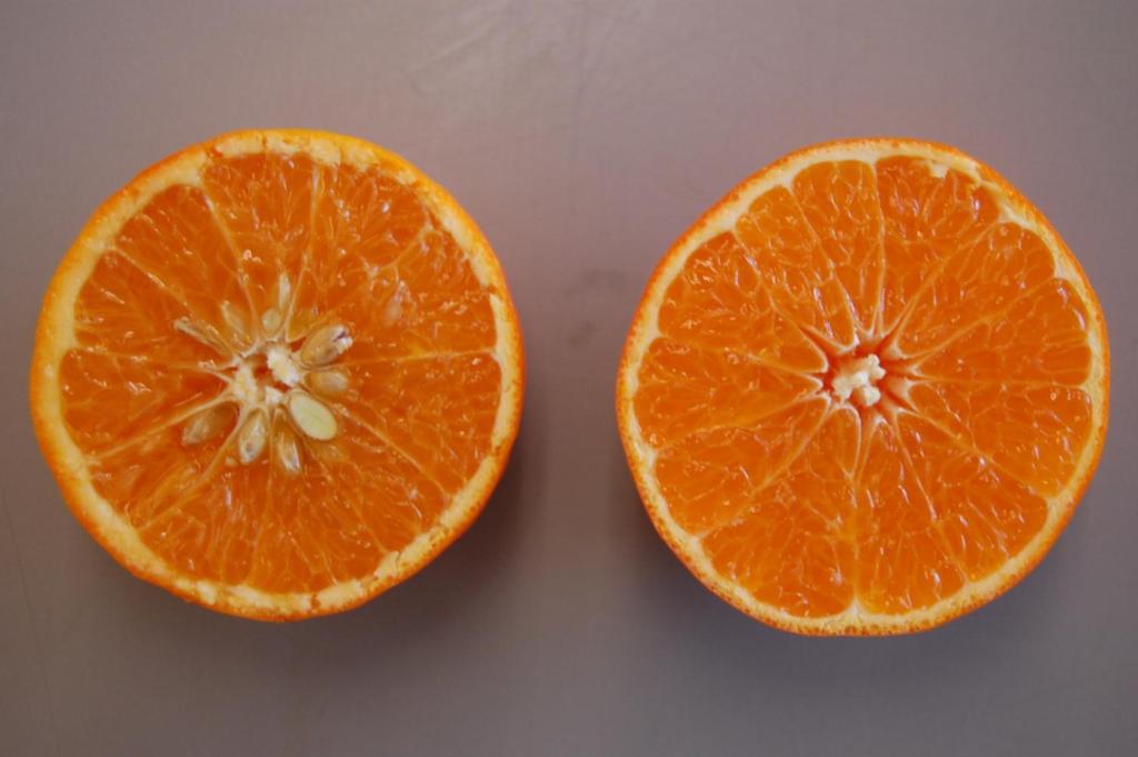 Mandarinas Daisy (izquierda) y DaisySL (derecha) del
