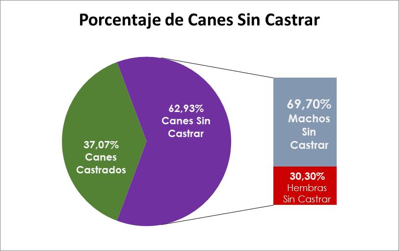 INFORMACIÓN GENERAL CASTRADOS NO CASTRADOS MACHOS 8,12 % 43,86 % HEMBRAS 28,95 % 19,07 % TOTAL 37,07% 62,93% FUENTE: Elaboración propia. Municipalidad de Zapala.