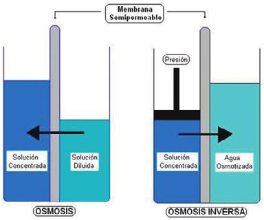 ÓSMOSIS INVERSA PRINCIPIO DE FUNCIONAMIENTO DE LA ÓSMOSIS Imaginemos un recipiente dividido en dos por una membrana semipermeable.