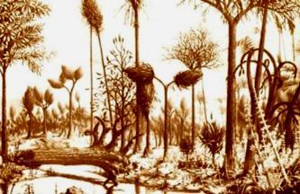 Equisetopsidas arborescentes - Carbonífero