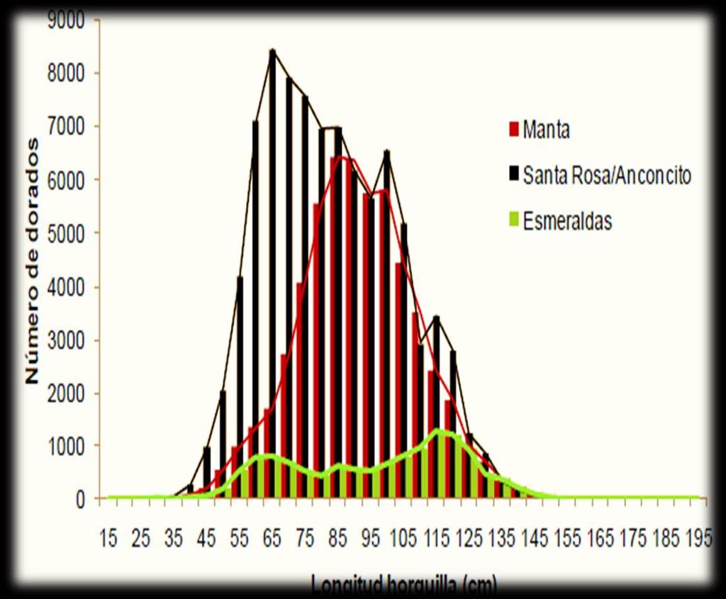Numero de Dorados ESTRUCTURA DE TALLAS Durante el periodo de 2008-2012, se colectaron 156.104 dorados, 61.031 machos y 95.