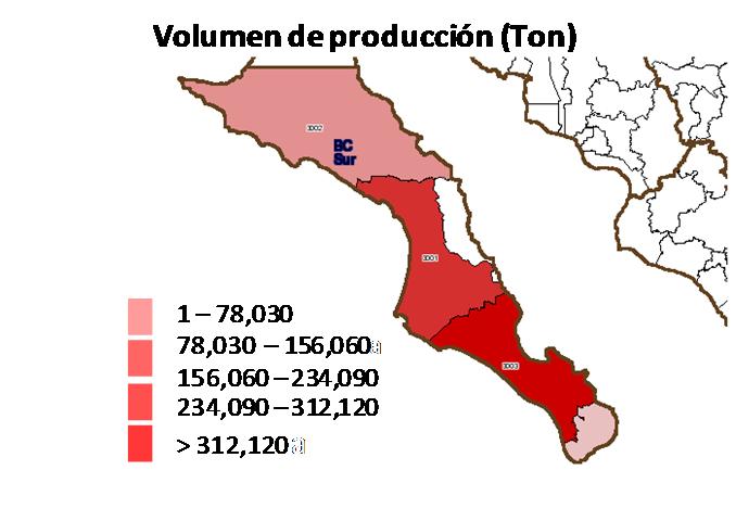 Maíz grano Papa Chile verde Trigo grano Jitomate Resumen estatal año agrícola 2009 10 9 8 7 6 5 3 2 Principales cultivos P V 2009 19% 3 9%