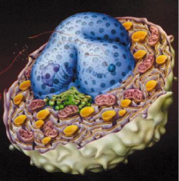 Qué son las membranas celulares?