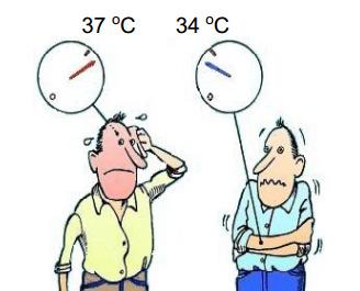 Control de la Temperatura del Cuerpo Temperatura del cuerpo: 37 o C El cuerpo humano tiene dos sensores de