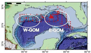 2016 GBYP grupo de trabajo sobre larvas: Objetivos Golfo de Mexico (NOAA) Reforzar la la colaboración entre