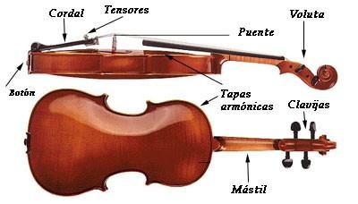 3- El profesor reparte una ficha con los dibujos de cuatro músicos de cuerda, explicando los componentes de un cuarteto de cuerda: dos violines, viola y violonchelo.