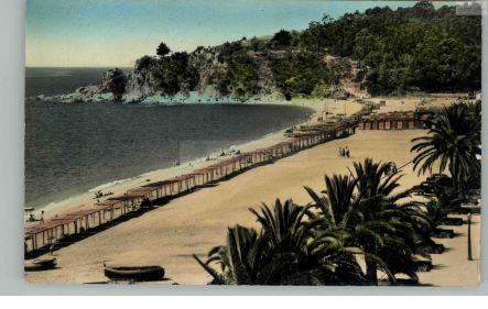 100 / / / Imatge de la platja de Lloret i els seus tendals / Imatge de la platja de Lloret amb