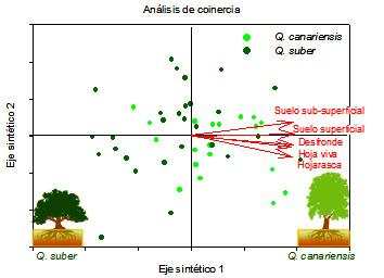 Efectos de las especies vegetales en las condiciones abióticas del medio Las especies arbóreas poseen distinta capacidad para absorber y translocar los nutrientes del suelo a sus hojas, lo que se
