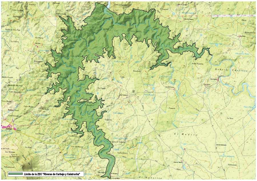 8 Plan de Gestión de los lugares Natura 2000