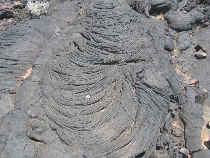 104 Figura 5. Superficie pahoehoe, lava cordada (El Hierro).