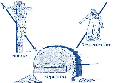 1. Romanos 6:3, 4, 3 O no sabéis que todos los que hemos sido bautizados en Cristo Jesús, hemos sido bautizados en su muerte?