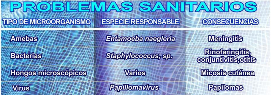3.2.- PROBLEMAS SANITARIOS: Mencionaremos aquí únicamente las principales infecciones derivadas de las aguas de baño.
