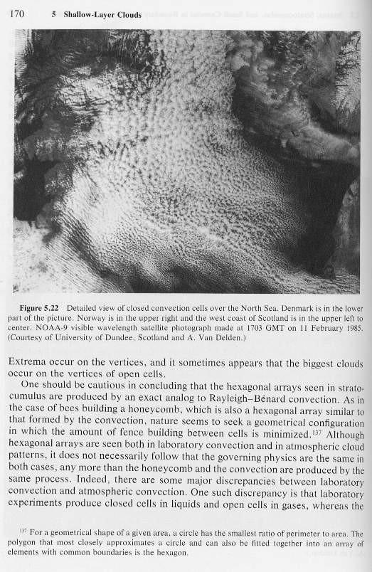 FORMAS CELULARES: Normalmente se forman sobre los océanos Estos Sc son de 2 tipos: células abiertas (paredes de nubes que rodean zonas sin nubes) células cerradas (nube sólida rodeada de un espacio
