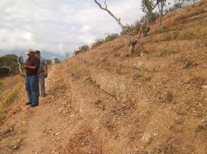 En las Provincias de Nor Yungas, Murillo y parte de Sud Yungas, la reducción en la superficie de plantaciones de coca se explica por una presencia de parcelas que no están en