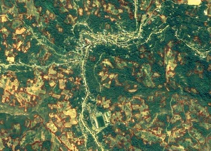 Las siguientes figuras muestran imágenes satelitales de alta resolución para el área tradicional de los Yungas de