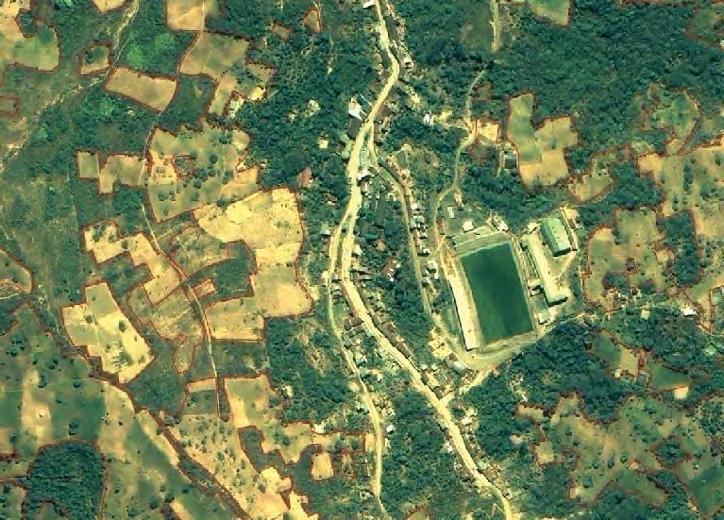 Vista general de cultivos de coca digitalizadas sobre una imagen satelital en la población de Coripata, Provincia