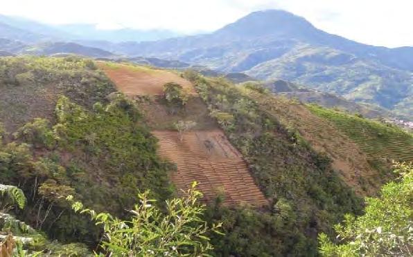 Ampliación de nuevas terrazas de cultivo de coca en laderas de