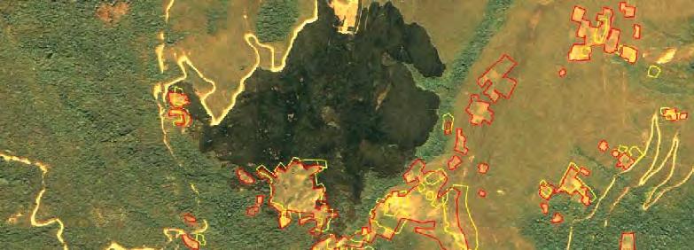 En la siguiente imagen satelital se han sobrepuesto información sobre parcelas de coca interpretadas en el 2009 y el 2012.