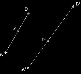 Se denominan a las propiedades que no varían en la aplicación, conservan las relaciones de incidencia y ordenación; Ángulos paralelismo El segmento AB se transforma en el segmento A B, si P pertenece