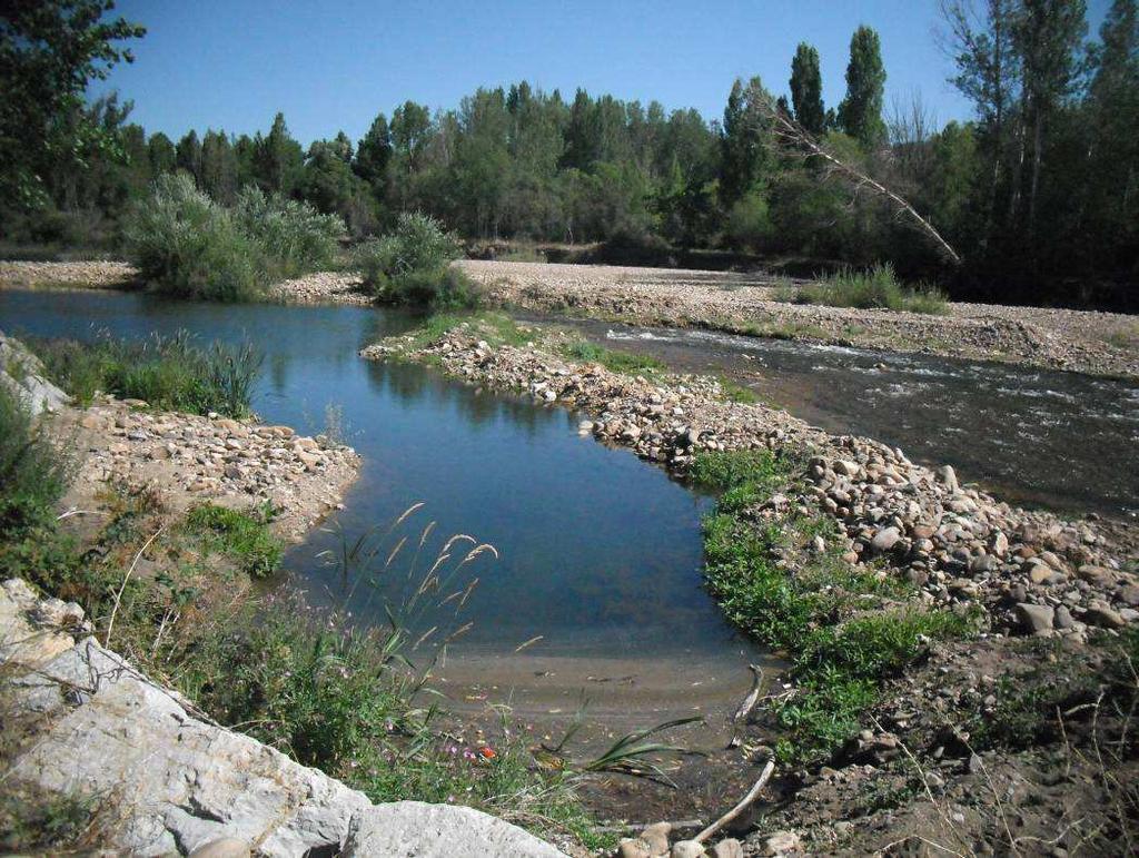 Río Bernesga en Lorenzana, la barra de piedras acumulada se utiliza para desviar