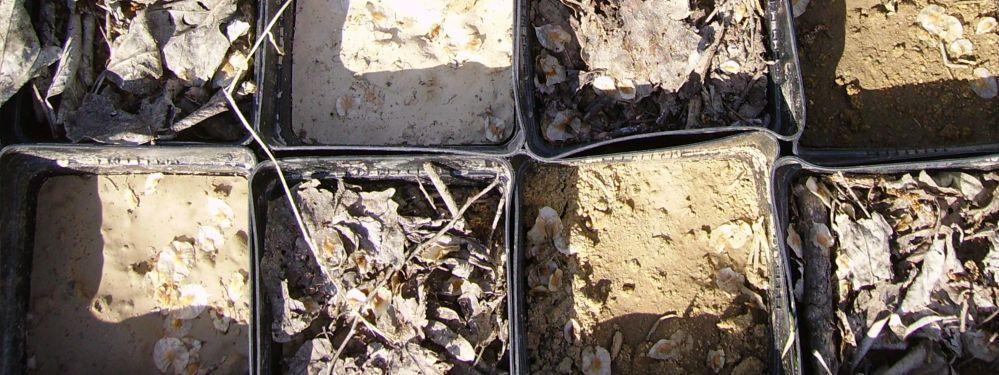 suelo de textura franco-arenosa procedente de Martiherrero