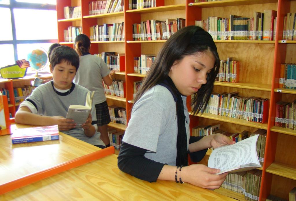 Objetivos del Plan Puente Alto Crece Leyendo Desarrollar el gusto por la lectura y el amor por los libros, en toda la comunidad educativa Brindar amplio acceso a diversos recursos de lectura en toda