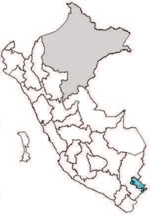 Aedes * 2 / 51 % Índice aédico: marzo 214* Distritos: Belén San Juan Iquitos Punchana Contamana Nauta Fuente: DIGESA/ DIRESA Loreto INEI** - INS*** % 4.1-13.2 2.5-12.2 2.4-11.