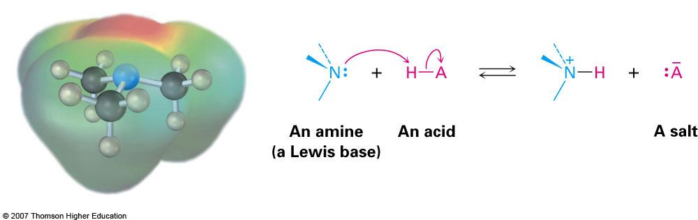 Basicidad de Aminas El par de electrones sin compartir del nitrógeno hace a las aminas bases de Lewis y en consecuencia,