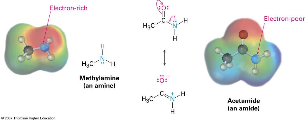 Aminas y Amidas: Basicidad del Nitrógeno Las amidas (RN 2 ) en general no son aceptores de protones excepto en presencia de ácidos muy fuertes El grupo = es