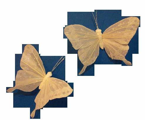 Pluma Mariposas para decoración