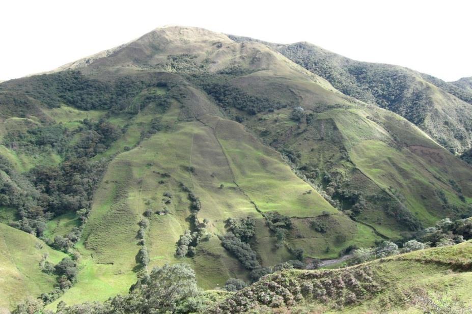 ecológica en el Ecuador 2.