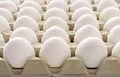 Cuadro Explicativo de los Factores que Incidieron en la Variaciones de los Precios Producto Huevo Blanco Extra Huevo Rosado Grande Queso Fresco Comportamiento Precio Promedio Anterior: Q 382.