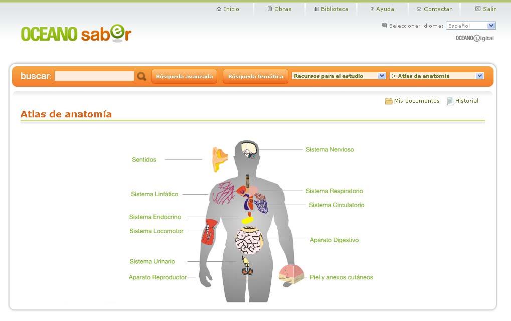 Atlas de anatomía Proporciona esquemas de todas las partes del cuerpo humano.