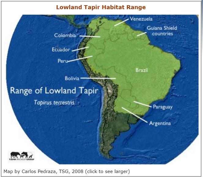 32 Movimiento de Tapirus terrestris en la parte media del Río Caquetá-Amazonia Colombiana Figura 3-1: Rango de distribución de T. terrestris (Tomado de Tapir Specialist Group (TSG) http://www.tapirs.
