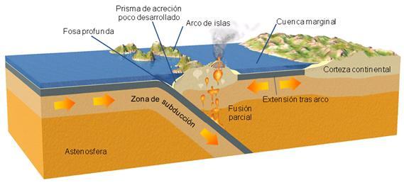 Bordes destructivos: PLACA OCEÁNICA vs PLACA OCEÁNICA Una de las placas oceánicas se hunde bajo la otra con un gran ángulo. Se forman fosas oceánicas (las mayores depresiones del planeta).