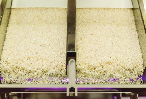 SORTEX S UltraVision TM. Ofrece una productividad excepcional. No hay dos aplicaciones de clasificación de arroz idénticas.